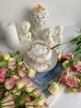 玫瑰花自然景观情人节花卉