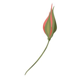 森系花枝