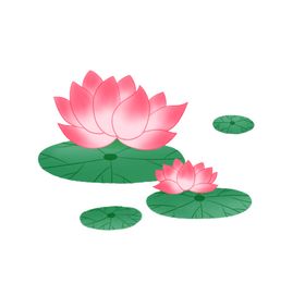 荷花插画