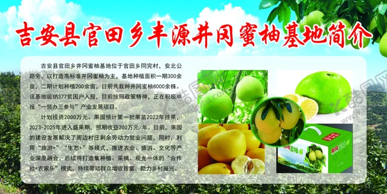 编号：23795604210549303982【酷图网】源文件下载-蜜柚