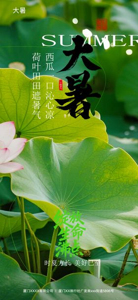 大暑荷花节气系列海报