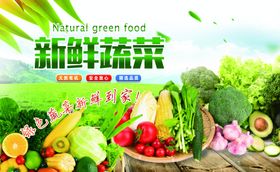 新鲜多样蔬菜大集合