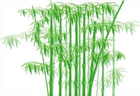 手绘竹子