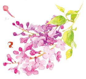 花卉梨樱免扣粉色