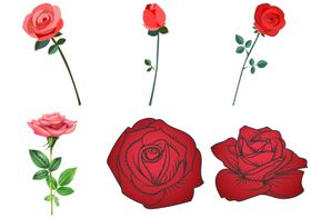 玫瑰花鲜情人节图案
