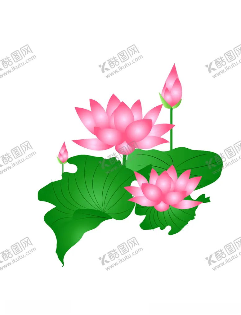 编号：59802304090044567167【酷图网】源文件下载-粉色荷花插画