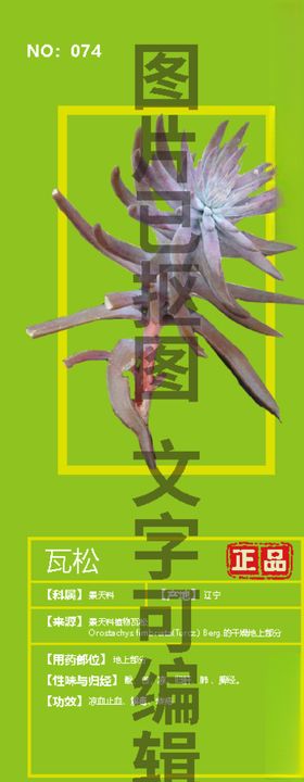 瓦松