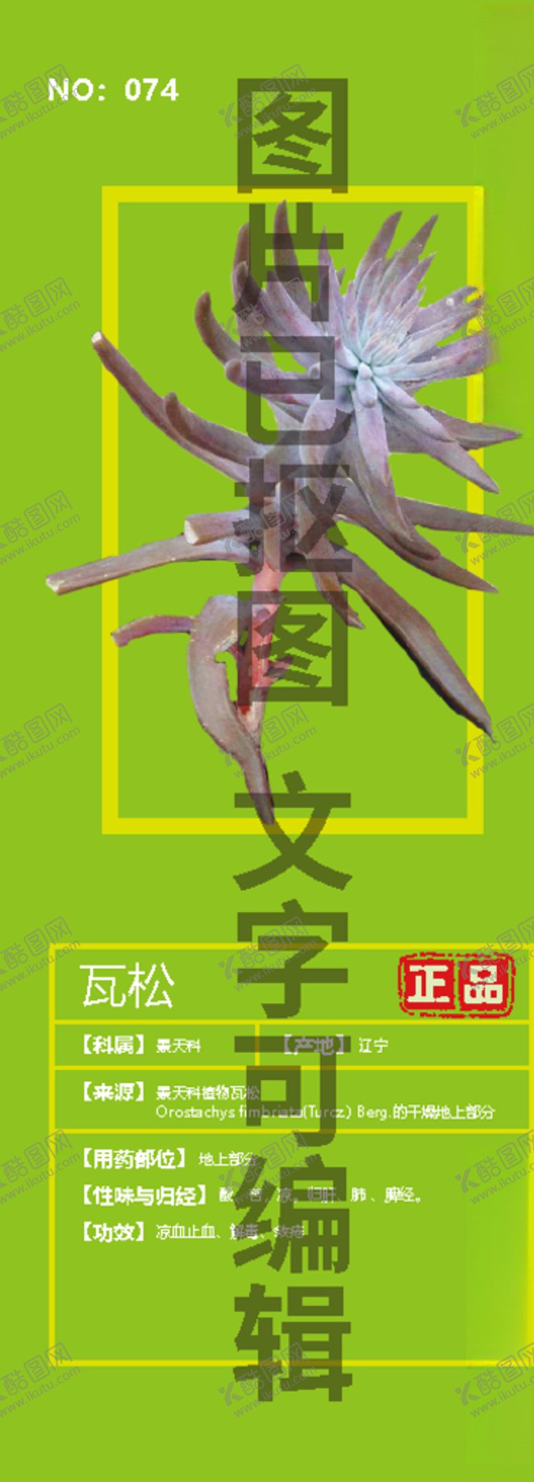 编号：70326105051934084311【酷图网】源文件下载-瓦松