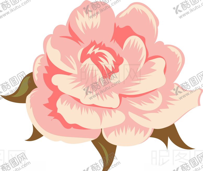 编号：81530509230357497712【酷图网】源文件下载-玫瑰花