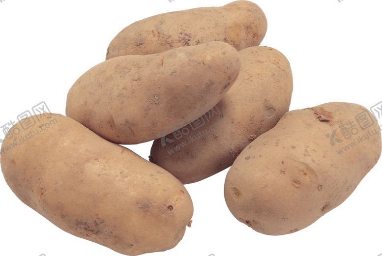 编号：48682209281454008392【酷图网】源文件下载-土豆