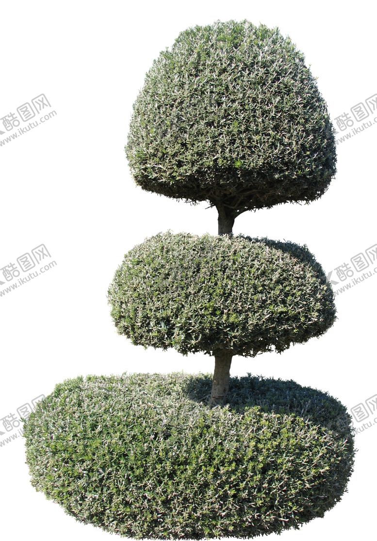 编号：29562809111210332631【酷图网】源文件下载-免扣植物树木素材