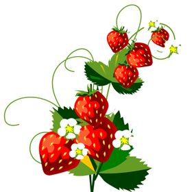 水果青椒荔枝海报蔬菜