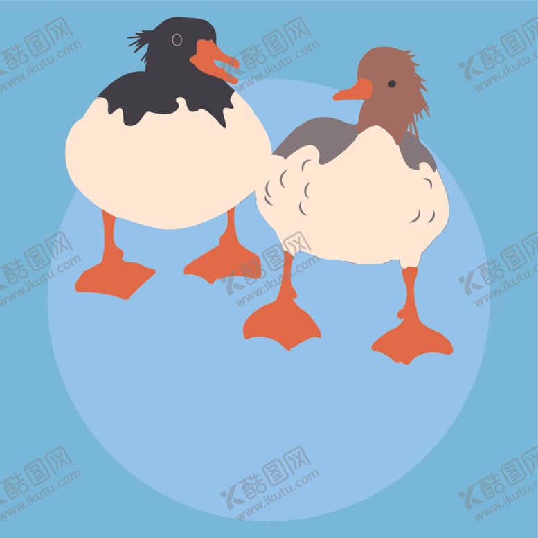 编号：95294012110223111000【酷图网】源文件下载-鸭子矢量素材插画