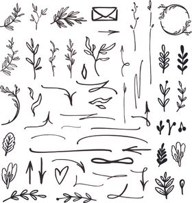 柳枝花枝黑白矢量图