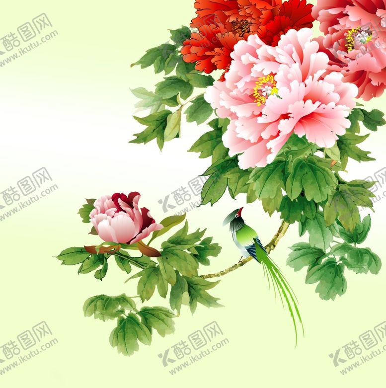 编号：76893906272304483806【酷图网】源文件下载-牡丹花