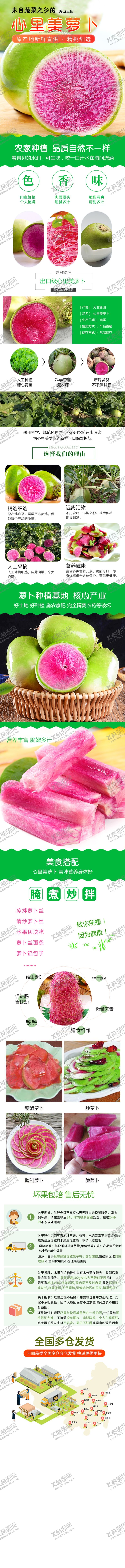编号：24568403161502546403【酷图网】源文件下载-淘宝详情页萝卜