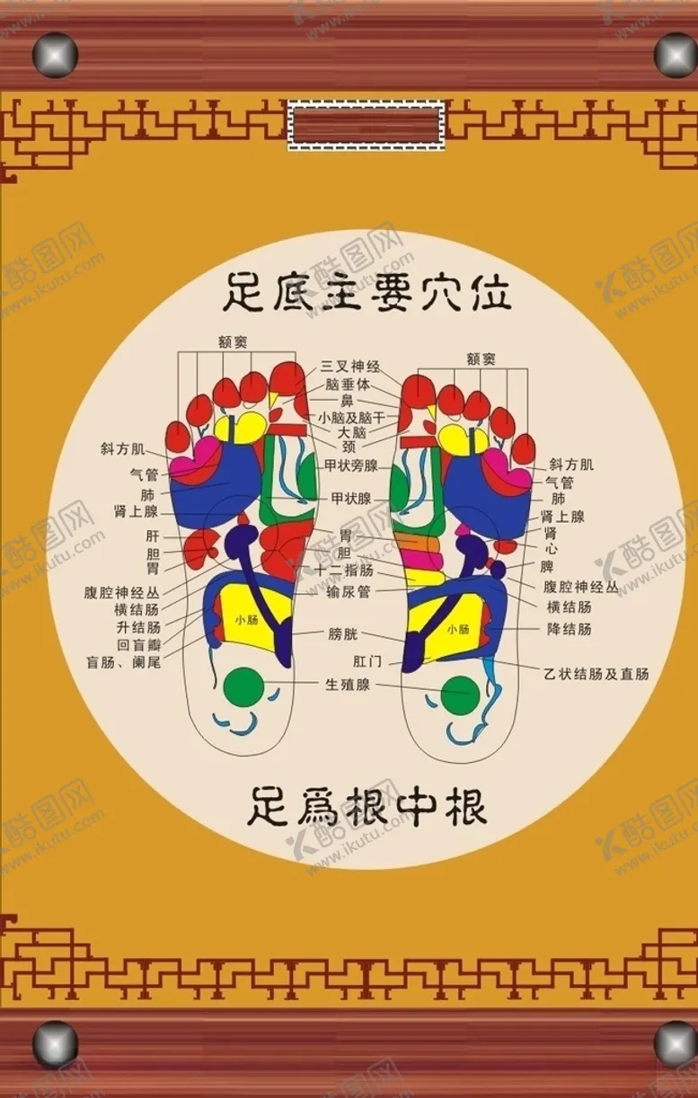 编号：96334707062248363221【酷图网】源文件下载-足底订要穴位
