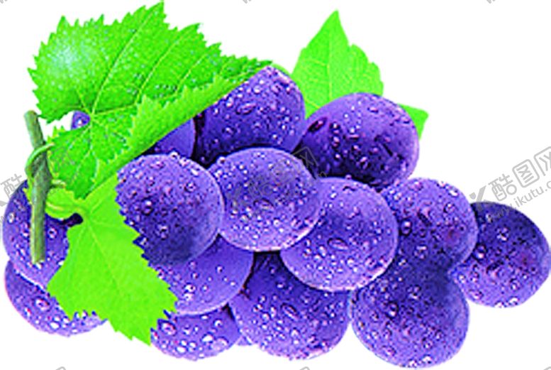 编号：37770910311737566938【酷图网】源文件下载-葡萄