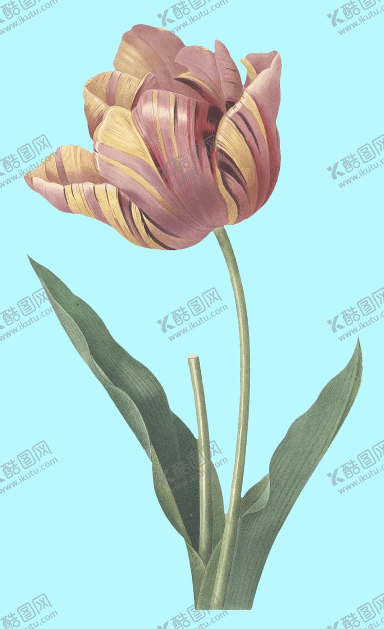 编号：90428610280610217534【酷图网】源文件下载-手绘花