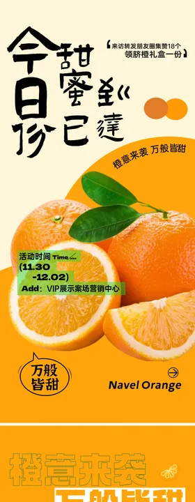 脐橙活动海报
