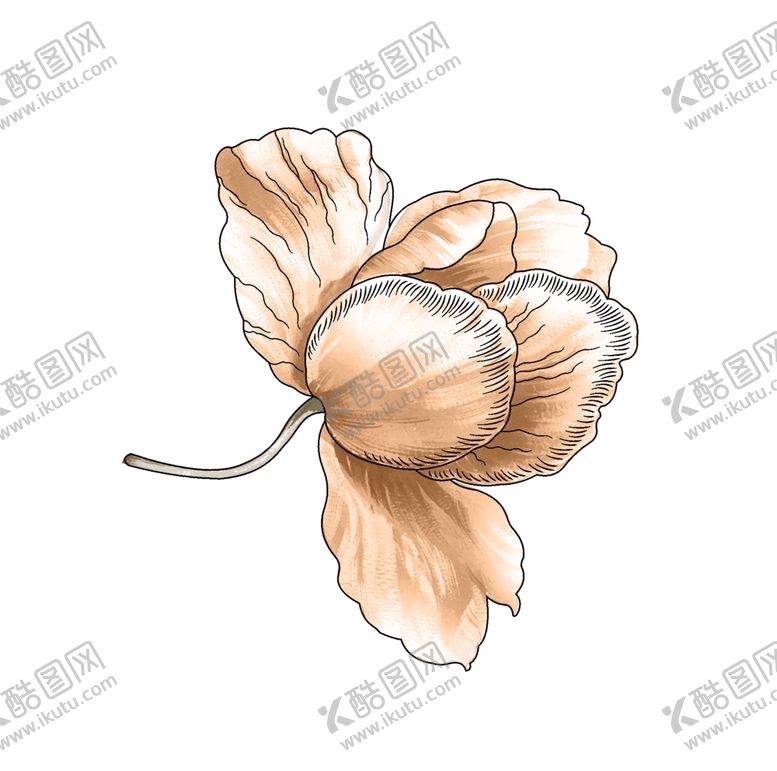 编号：48243505021621403076【酷图网】源文件下载-手绘花