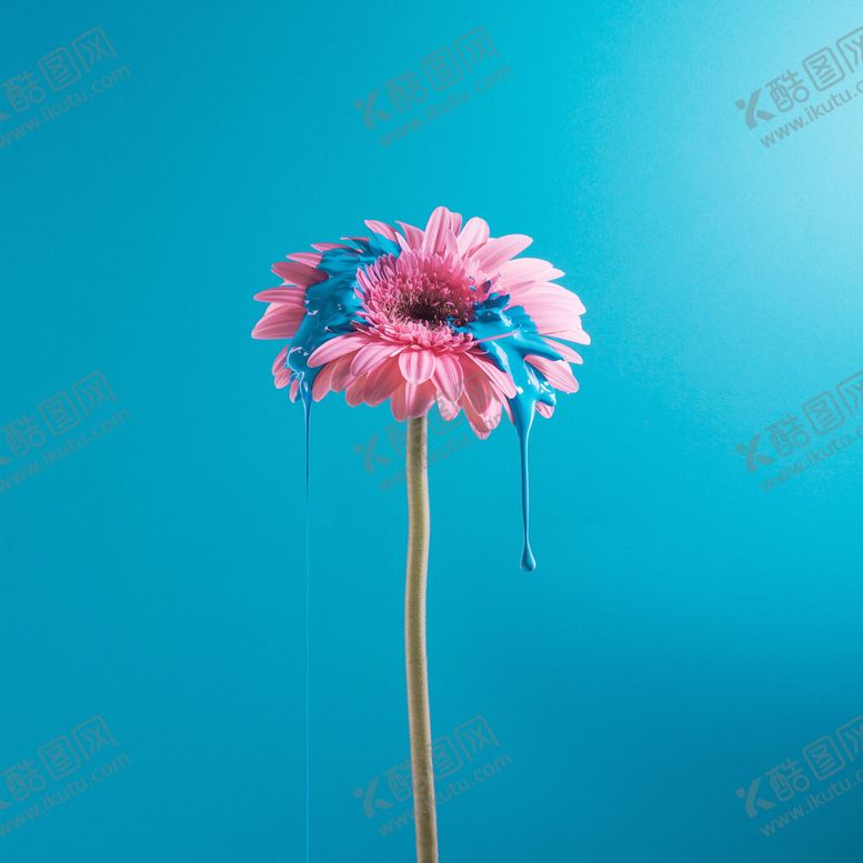 编号：44644909281827142895【酷图网】源文件下载-现代简约水彩花卉无框画图片