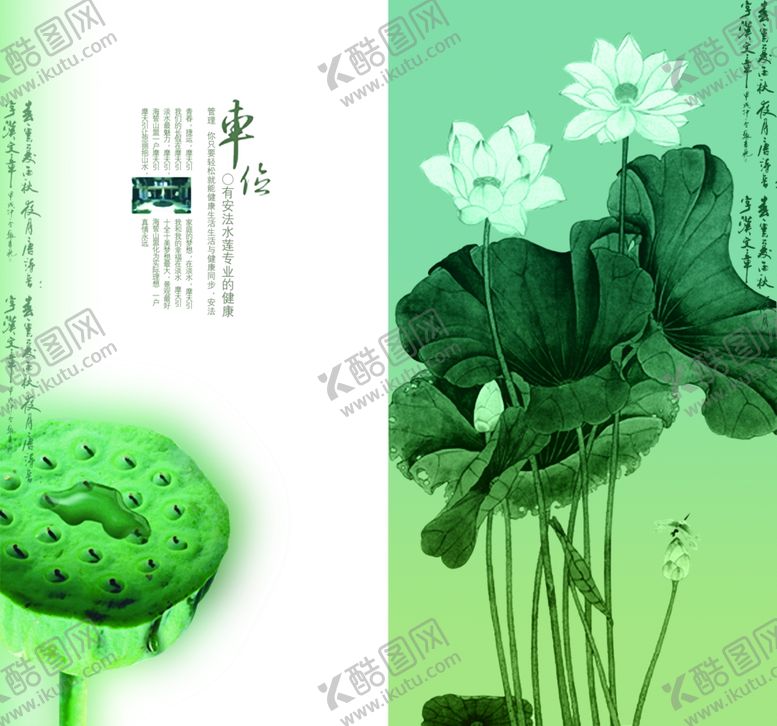 编号：41775710111831171055【酷图网】源文件下载-古风莲花荷叶创意文案宣传手册