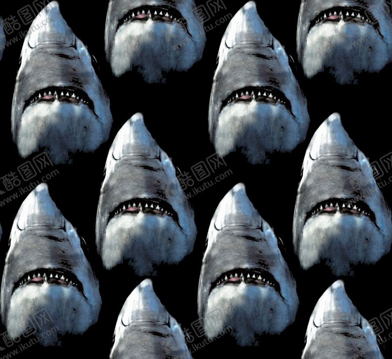 编号：79802410011543147603【酷图网】源文件下载-沙鱼头