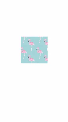 火烈鸟