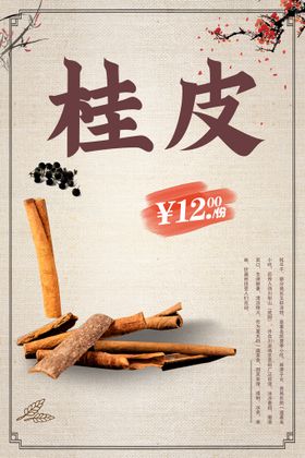 香料桂皮海报