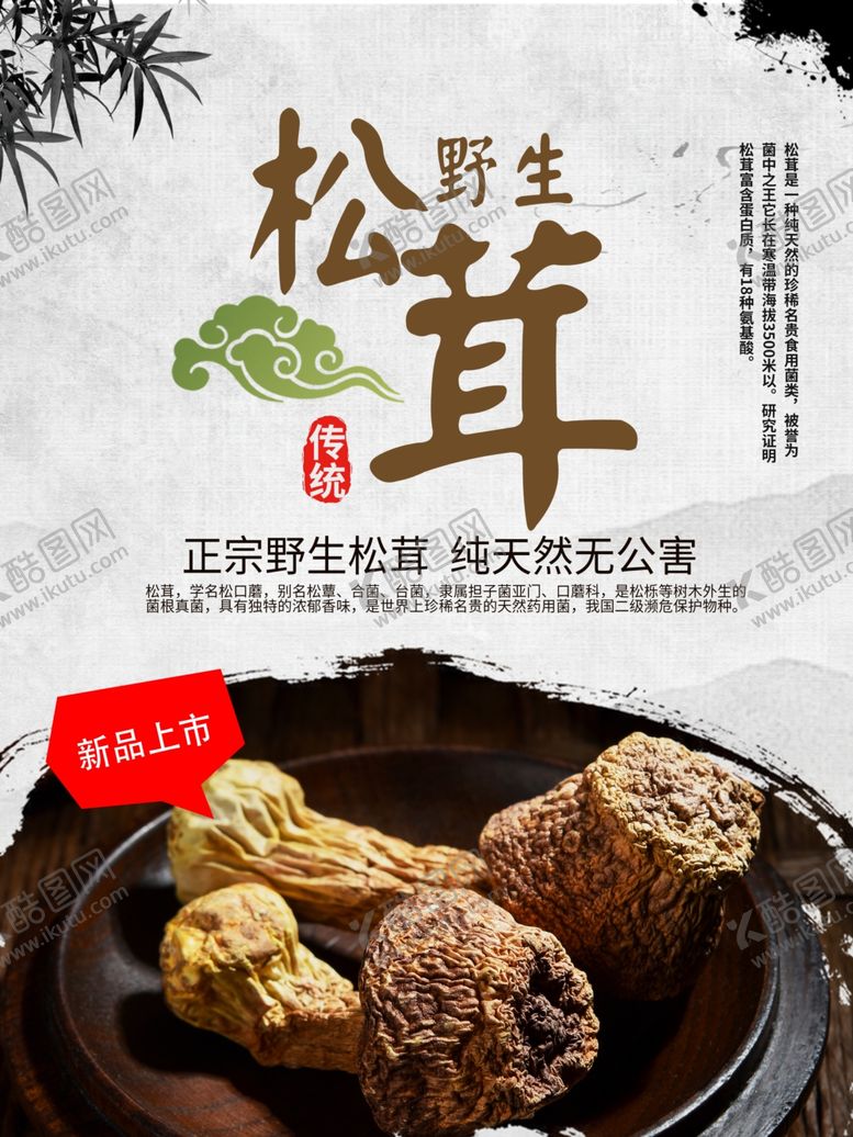 编号：82011407082318439407【酷图网】源文件下载-松茸