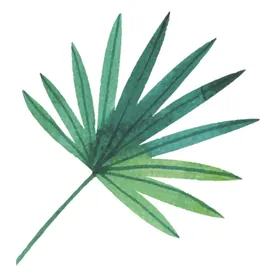 绿色水彩植物树叶