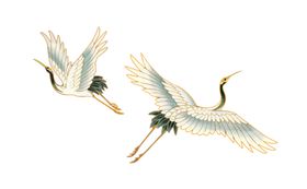 中国风古典仙鹤