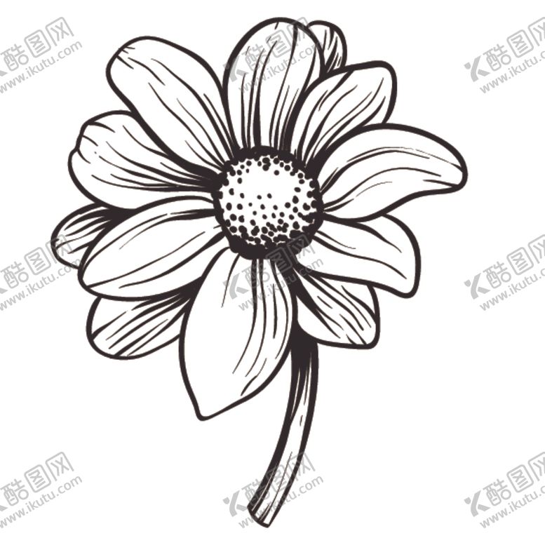 编号：76548809260352271704【酷图网】源文件下载-素描绘画植物花朵