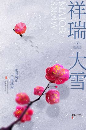 编号：73165009300643286728【酷图网】源文件下载-大雪海报