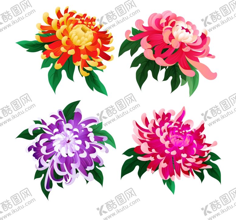 编号：76130402170202594200【酷图网】源文件下载-手绘菊花