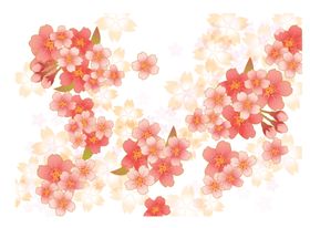 手绘粉色樱花免扣素材图片