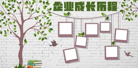 学校企业历程医院照片墙文化墙风