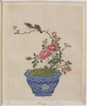 盆景花鸟
