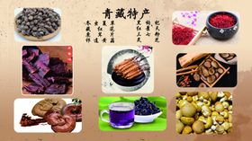青藏特产