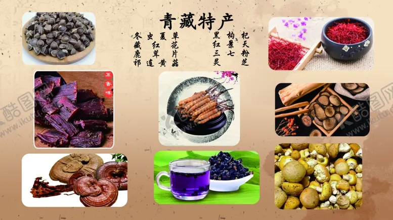 编号：36466006280830287129【酷图网】源文件下载-青藏特产