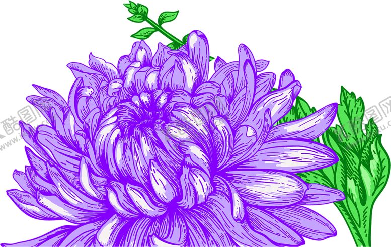 编号：29702109190252467901【酷图网】源文件下载-浪漫素材