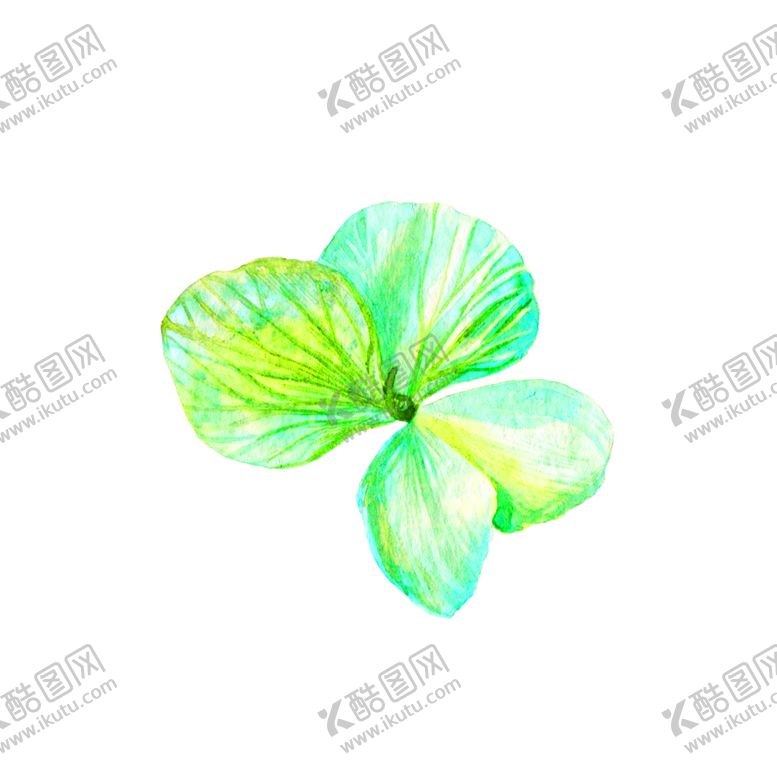 编号：22305306280545222724【酷图网】源文件下载-花素材