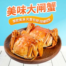 阳澄湖大闸蟹母蟹主图直通车