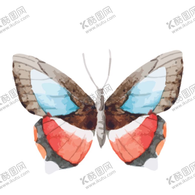 编号：74319605112051403877【酷图网】源文件下载-水彩蝴蝶绘画图案