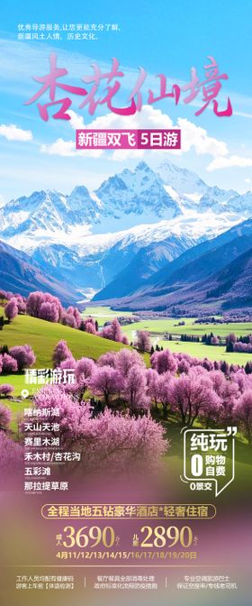 新疆杏花旅游海报