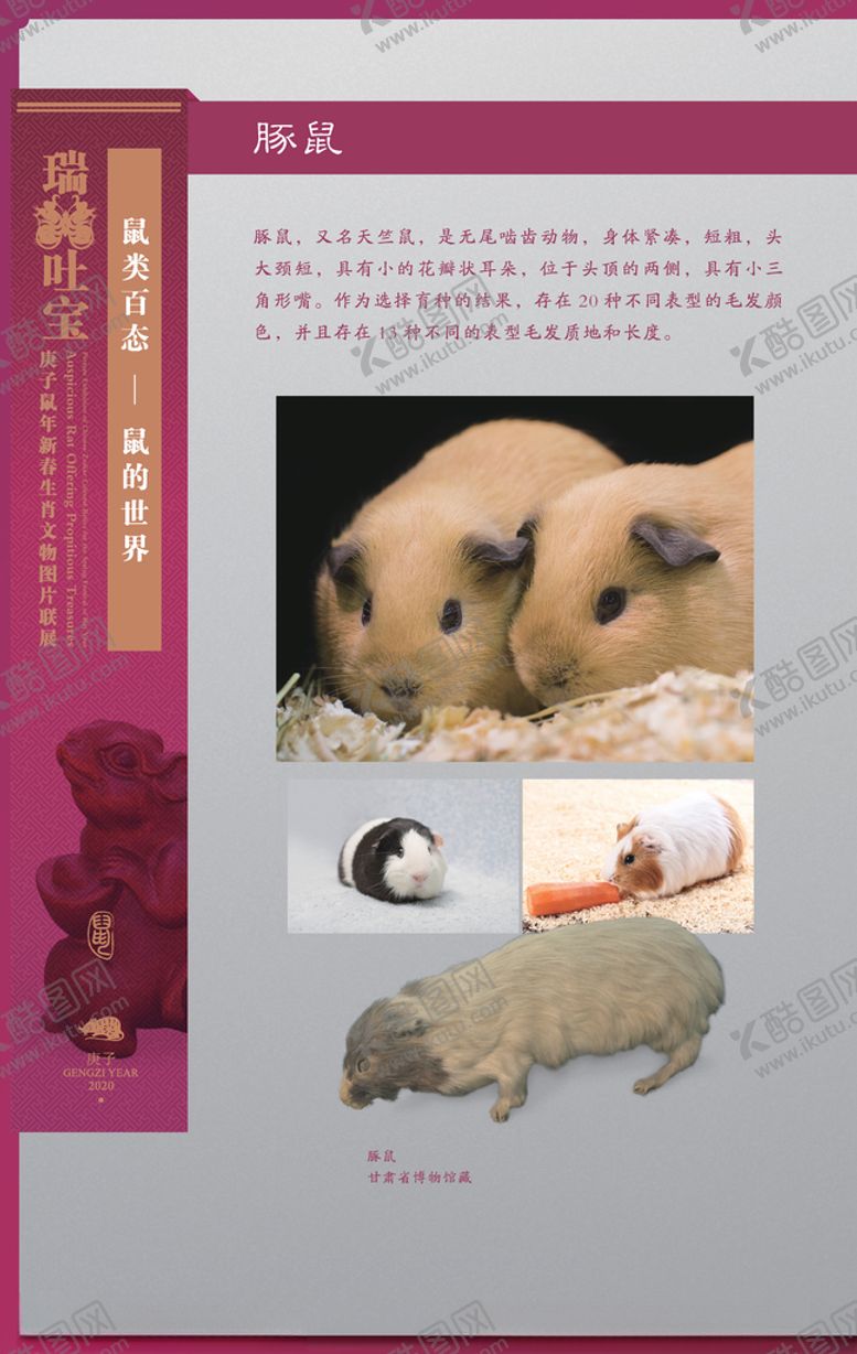 编号：66879607122003121900【酷图网】源文件下载-生肖展