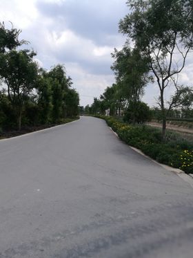 马路
