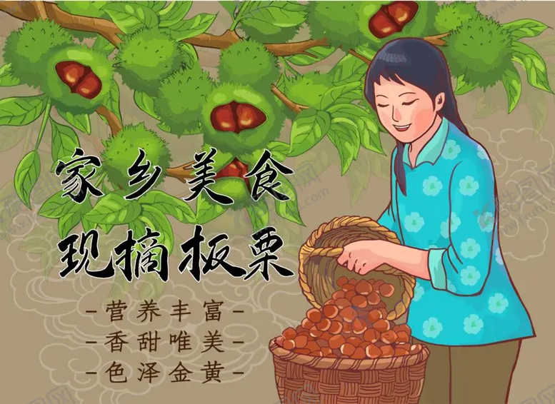 编号：19415712051240566861【酷图网】源文件下载-板栗插画