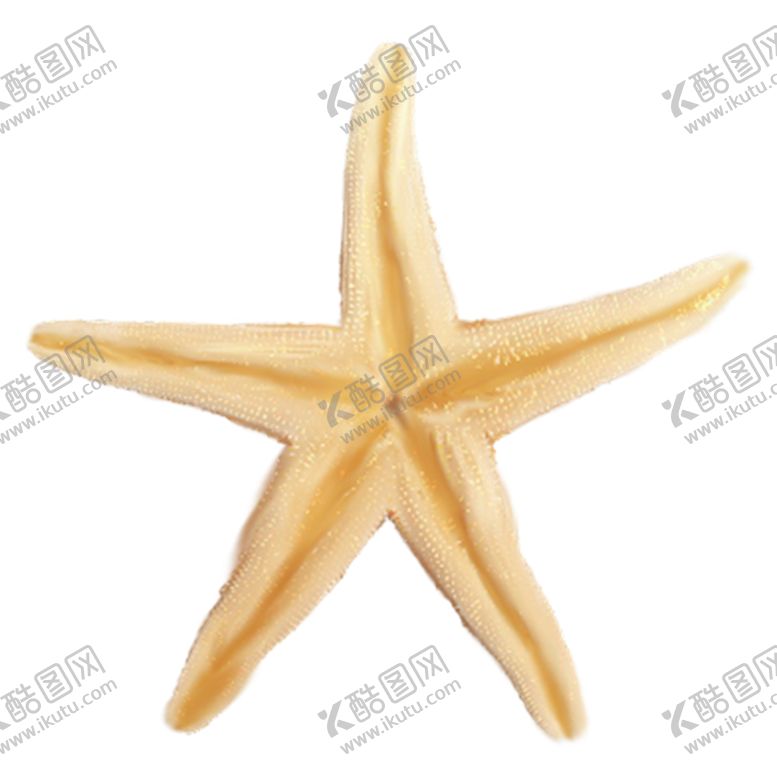 编号：36641104200827588871【酷图网】源文件下载-海星